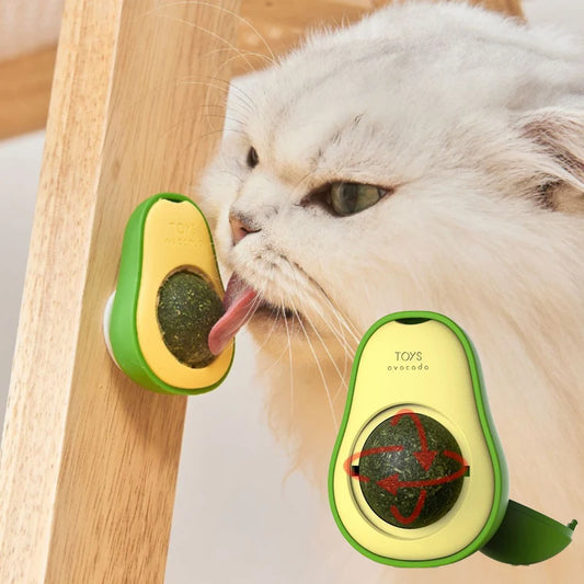 Natural Catnip Healthy Rotatable Wall Stick-on Ball Cats Teeth Cleaning Scratching Supplies