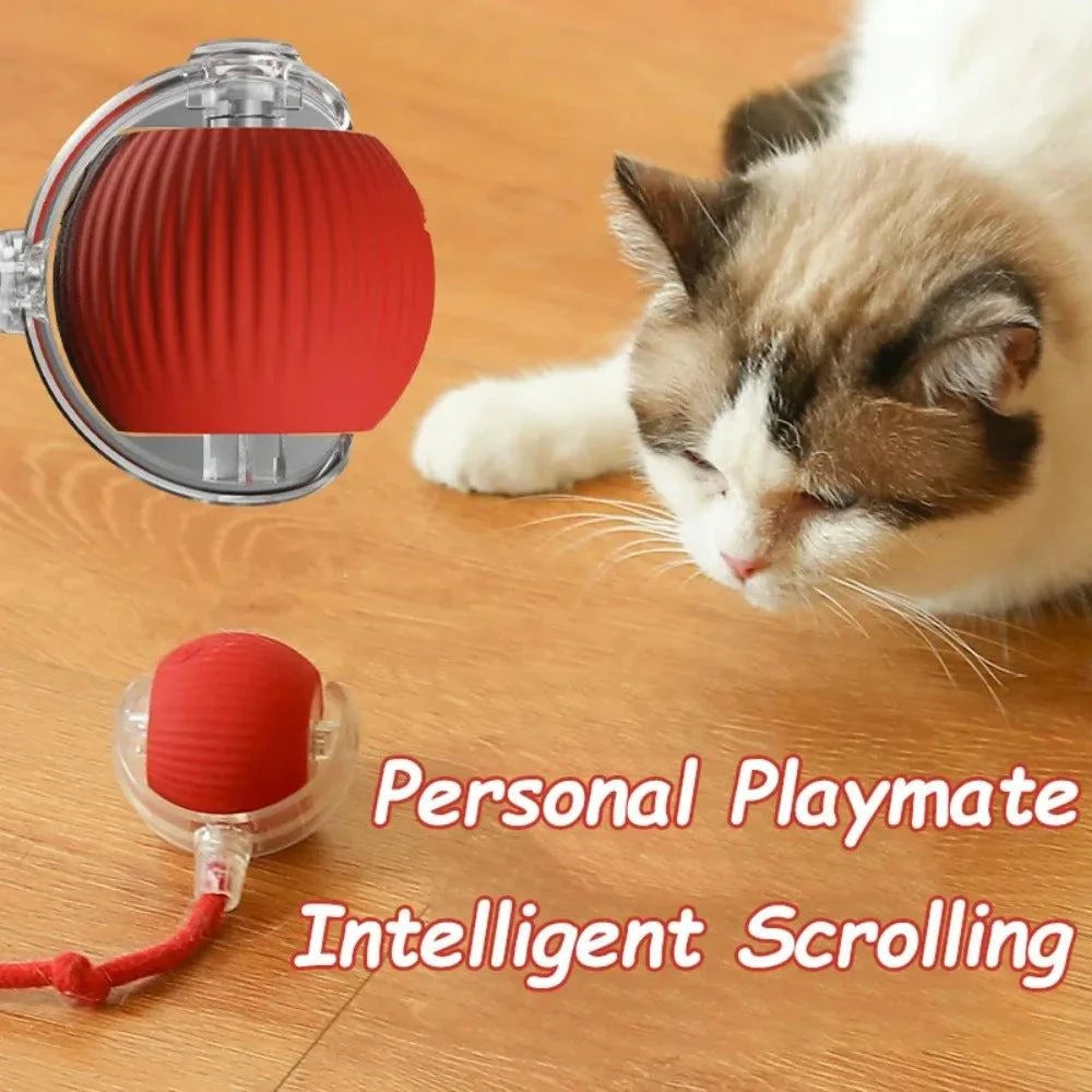 Rechargeable Automatic Interactive Ball Toy for Cats Smart Electric Rolling Faux Tail Mouse