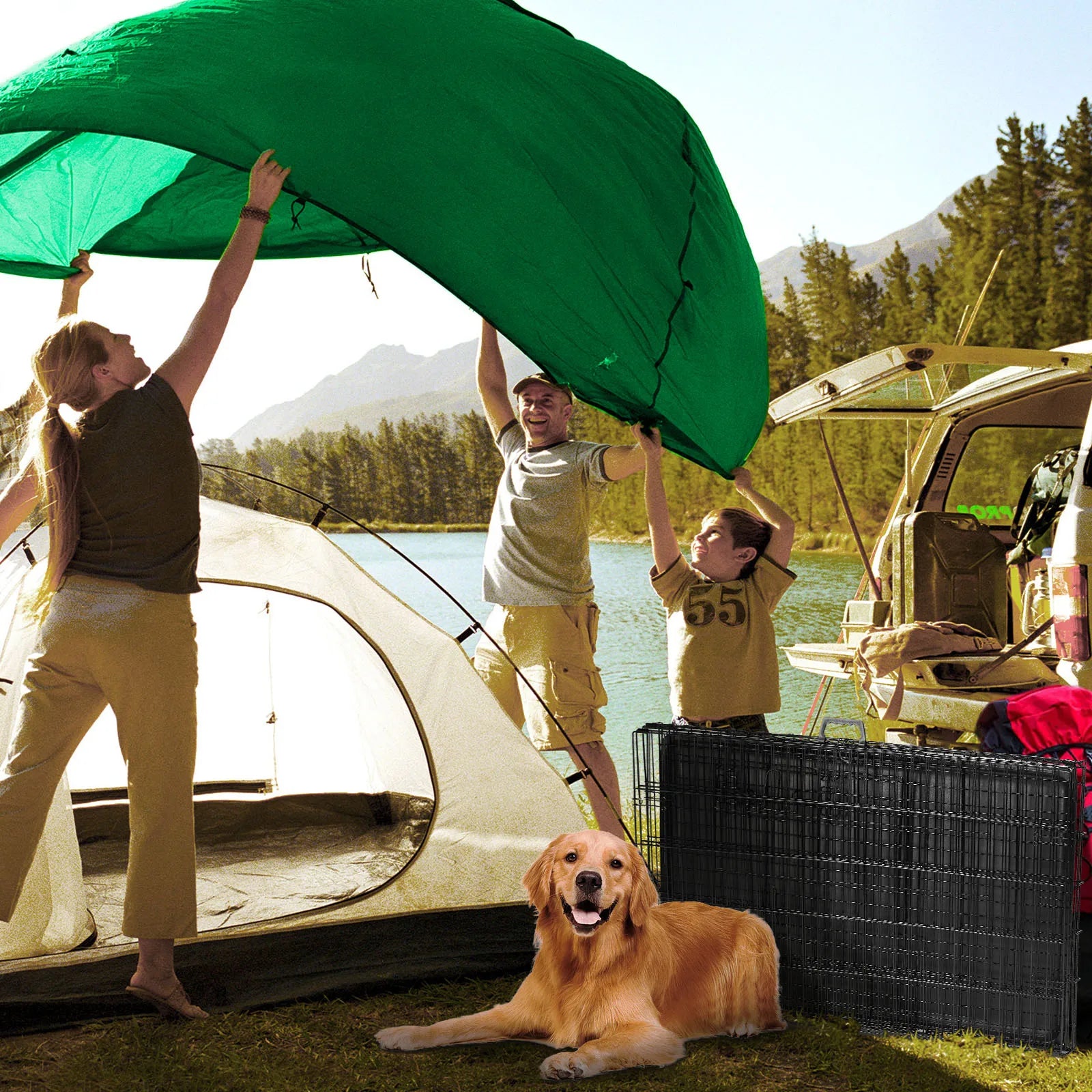 Foldable wire dog crate Double Door with Plastic Leak-Proof Pan tray